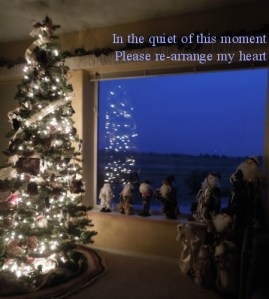 Christmastoo2013 007g