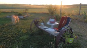 For I know the plans I have for you, says the Lord, plans for good and not evil, to give you a future and a hope...Jeremiah 29:11