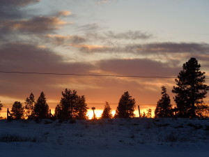 download 09.02.2013 078